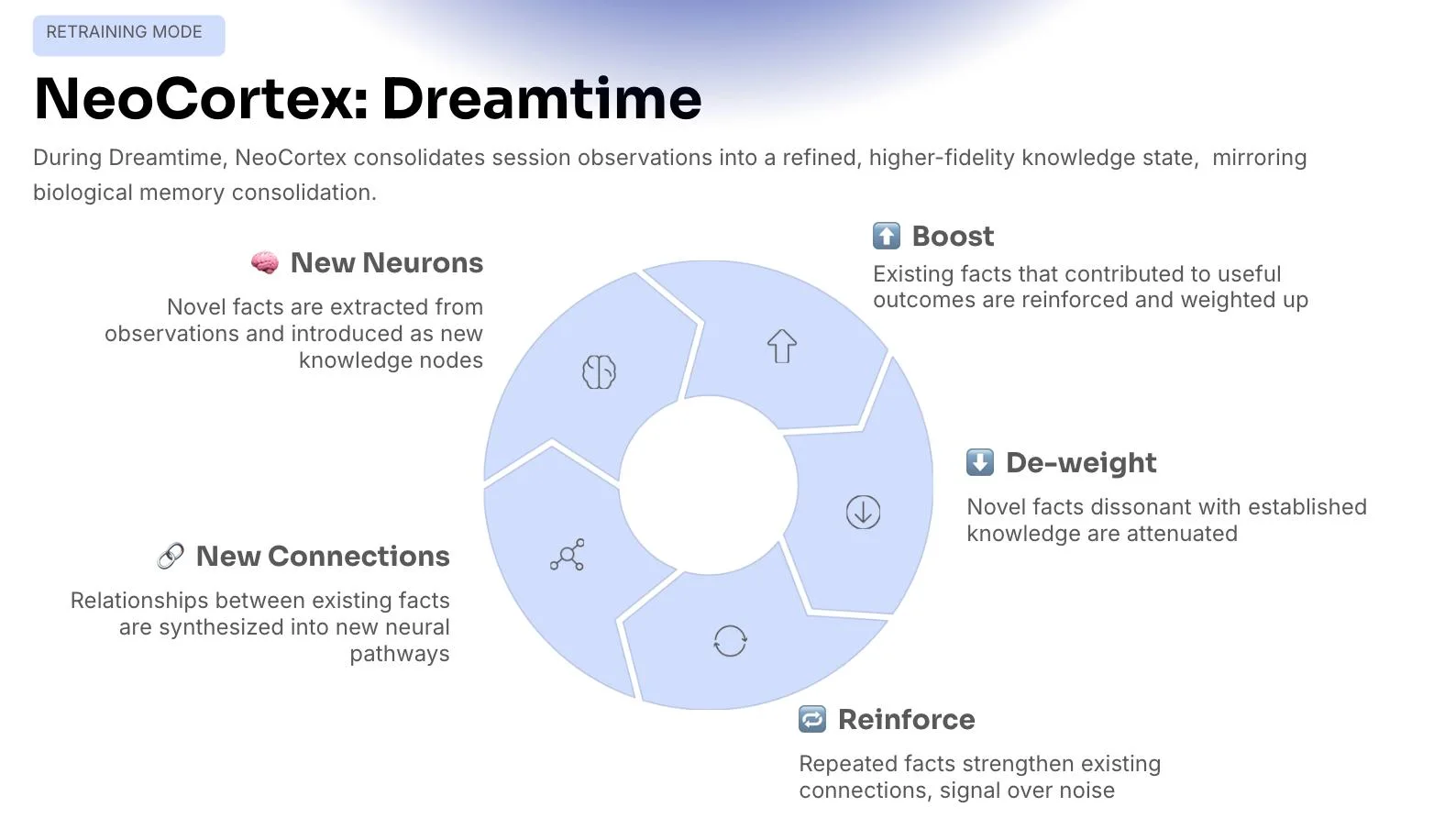 Neocortex Dreamtime process showing knowledge consolidation, reinforcement, and validation of organizational memory.